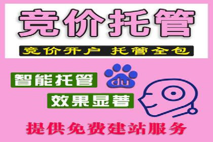 案例分享：SEO与SEM优化效果对比